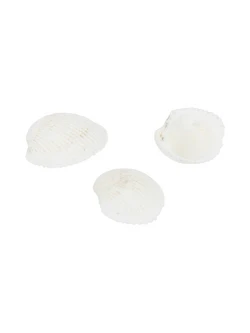 Ракушки D20-22 01 20г